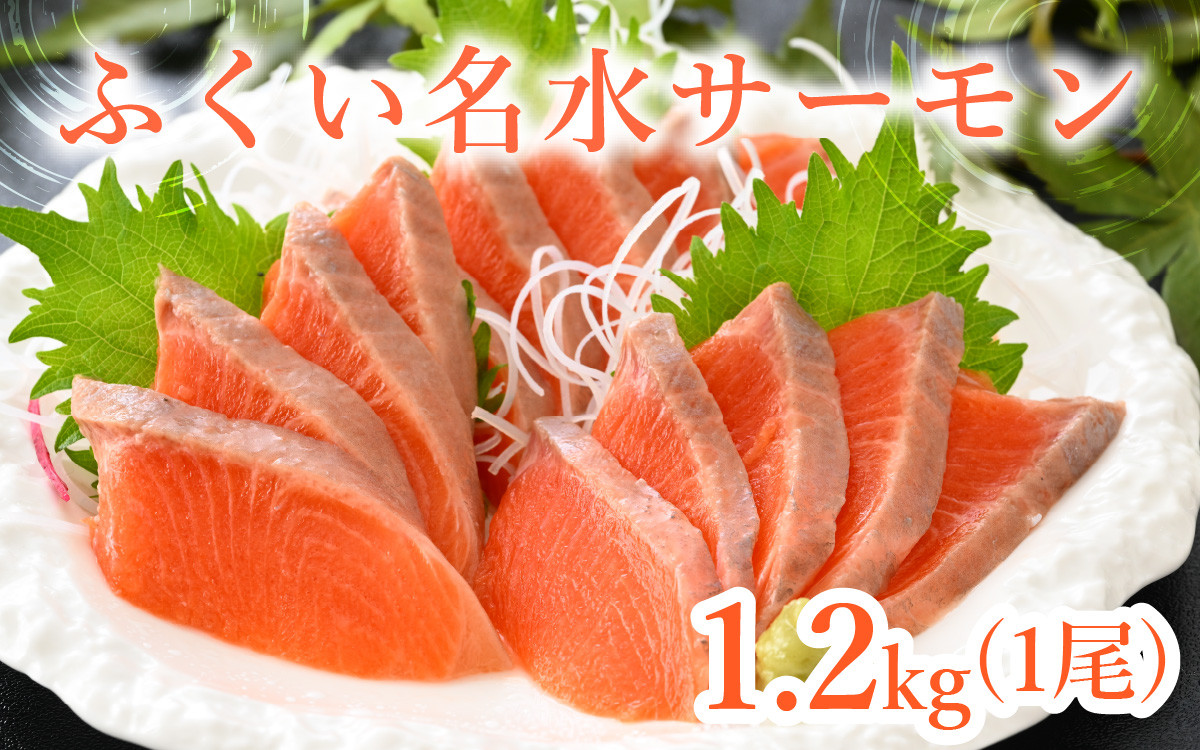 
【希少】福井県大野市産 ふくい名水サーモン 1尾 約1.2kg（生食・加熱用）真空冷凍 [C-014003]
