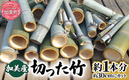 竹 モウソウチク 北限の竹 自然素材 国産 切りたて 新鮮 香り高い 加工 工作 インテリア DIY 園芸 クラフト [ やってみっか奔舎 宮城県 加美町 ]