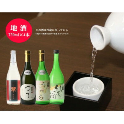 【ふるさと納税】「矢澤酒造」の地酒4本(各720ml)+おつまみセットE【1648184】