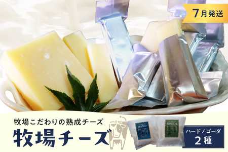 7月発送 北海道十勝芽室町 牧場チーズ２種類セット チーズ cheese ハードチーズ ゴーダチーズ 熟成チーズ 手作り お取り寄せ おつまみ アレンジ me020-005c-7