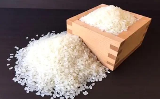天水の恵米「彩のきずな」白米15kg（5kg×3回のお届け） お米 3回便