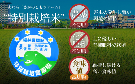 【令和5年産】コシヒカリ 玄米 5kg×2袋（計10kg） 特別栽培米 農薬不使用 化学肥料不使用 ／ 高品質 鮮度抜群 福井県産 ブランド米 あわら