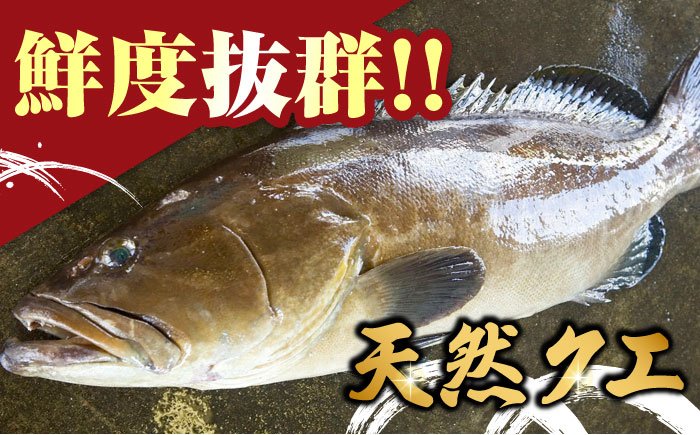 【全3回定期便】 【 対馬産 】 天然 クエ 400g （切り身）《対馬市》【石川水産】 鍋 水炊き 鮮度抜群 海鮮 [WAB030]