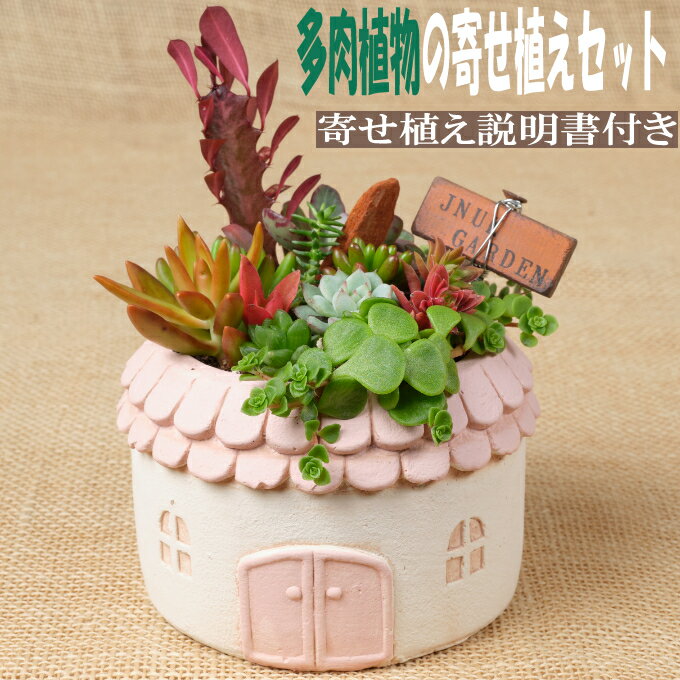 【ふるさと納税】多肉植物の寄せ植えセット（メゾンラウンドポット）丸屋根（鉢色：ピンク、イエロー、グリーン、グレー）寄せ植え説明書付 キット 初心者 おすすめ 多肉植物 寄せ植え アソート sh013