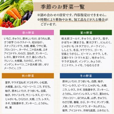 ふるさと納税 多良木町 野菜ソムリエ監修 旬のおすすめ野菜セット 4〜6種類(1〜2名様向け) |  | 03