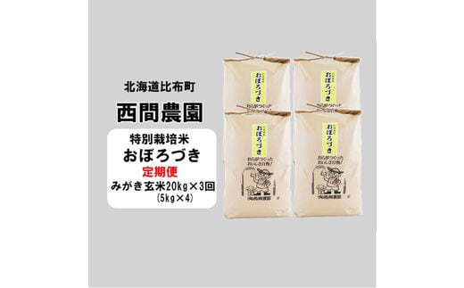 
										
										新米先行予約【2024年産】西間農園 おぼろづき特栽米 みがき玄米20㎏ 3か月定期便
									