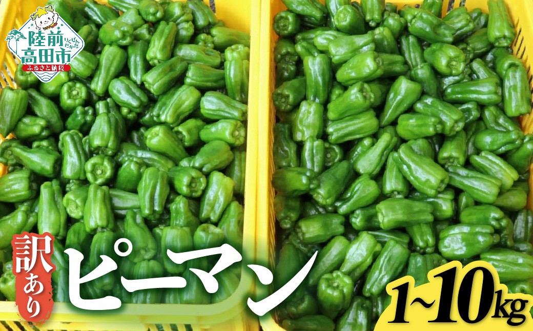 
            訳あり 規格外 ピーマン 内容量が選べる 約1kg～10kg 【 不揃い 産地直送 新鮮 料理 野菜 大容量 岩手県 陸前高田市 Farm Koganeyama 】
          
