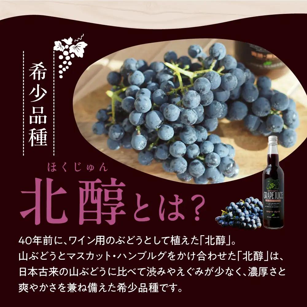 美味しい上山・山ぶどうジュース（原液）５５０ｍｌ×２本　0140-2610