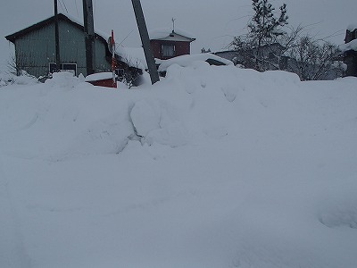 鶴田町令和8年1月青森地方大雪災害支援【返礼品なし】