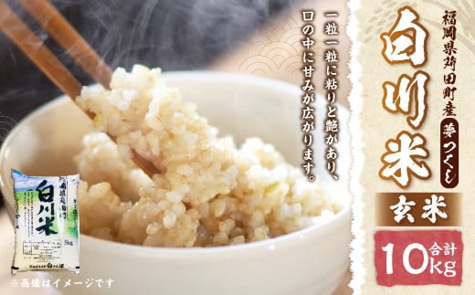 【新米先行予約】白川米 ( 夢つくし ) 玄米 合計10kg（5kg×2袋）【2025年10月下旬から順次発送予定】