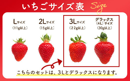とちおとめ 320g×2パック 3Lサイズ ｜ いちご 苺 イチゴ 贈答 フルーツ 果物 国産 平積み　※2026年1月中旬頃より順次発送予定