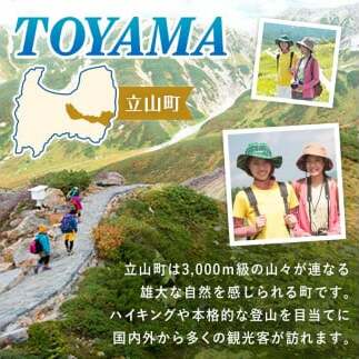立山町 宿泊施設 宿泊券 15,000円分 (寄附額 50,000円) 宿泊チケット 宿泊 宿 山小屋 山荘 旅 旅行 観光 レジャー チケット 登山 トレッキング アルペンルート 山岳観光 立山観光