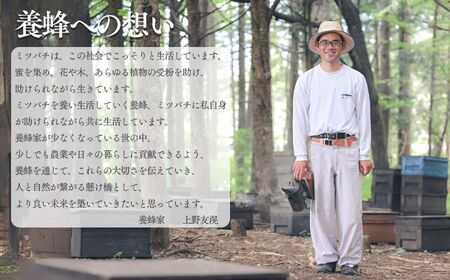  高校の養蜂部時代から養蜂一筋 天然 国産 非加熱 アカシア 130g×1本 【 長野県 富士見町産 天然100％ 完熟蜜 無添加 自然の香りとコク 上野養蜂園 自然派 健康志向 お取り寄せ 高級 贈