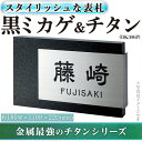 【ふるさと納税】金属製表札 スタイリッシュ DK306P 黒ミカゲ&チタン(1点) 表札 洋風 おしゃれ オシャレ オブジェ 【ksg0242】【福彫】