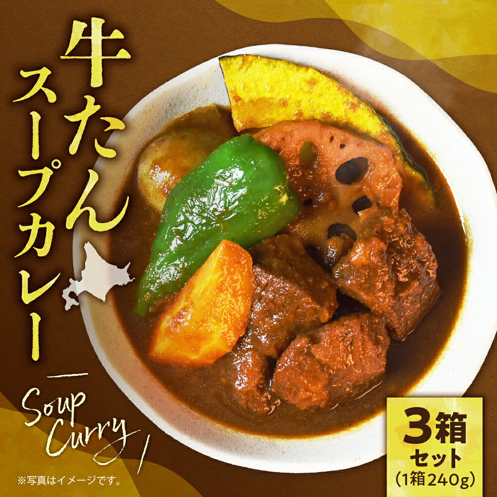 【ふるさと納税】 牛たん スープカレー 240g×3箱 セット 牛タン 人参 れんこん カレー スープ ご当地 グルメ 名物 レトルト 大きめ具材 温めるだけ 簡単 本格的 北海道 札幌市