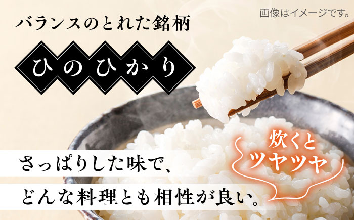 【こだわり精米】令和5年 糸島産 ひのひかり 20kg(5kg×4) 糸島市 / RCF 米 お米マイスター [AVM010]