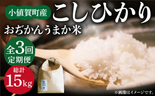 【全3回定期便】【令和6年度産】おぢかんうまか米（小値賀町産こしひかり 5kg ・精白米） [DAB015] コシヒカリ こしひかり 米 お米 白米 ご飯 精米 お弁当  常温