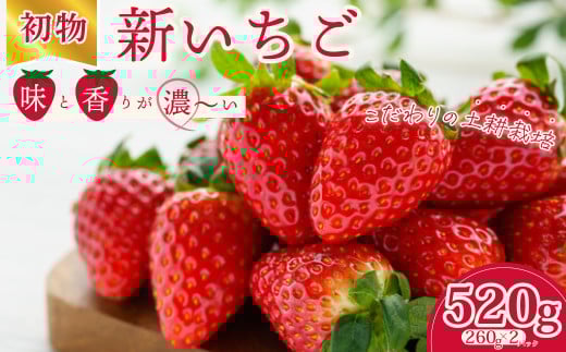 【先行予約/2026年】初物 厳選いちご(2パック×1箱) 《2025年12月での発送》| いちご 苺 イチゴ 檜山いちご園 香り 大粒  いばらキッス ひたち姫 やよいひめ 厳選 フルーツ 朝採れ 糖度 酸味 バランス 濃厚 甘い 果肉  健康 果物 デザート 贈り物 食べ比べ 旬 産地 直送 フレッシュ 新鮮 採れたて 人気 美味しい 甘い ベリー ブランド 茨城県 常陸太田市
