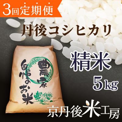 ふるさと納税 京丹後市 【毎月定期便】京丹後産コシヒカリ 精米5kg全3回