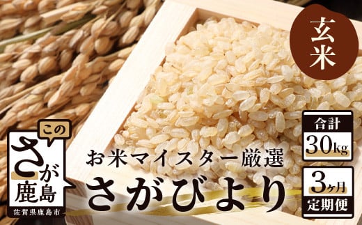 11月発送開始 新米【定期便 3ヶ月】 佐賀県産 さがびより 玄米 10kg《3ヶ月連続 毎月お届け》 3回 F-16　令和7年産