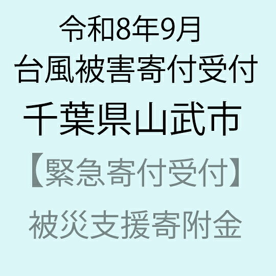 【ふるさと納税】【令和8年9月台風被害支援緊急寄附受付】千葉県山武市災害応援寄附金（返礼品はありません）