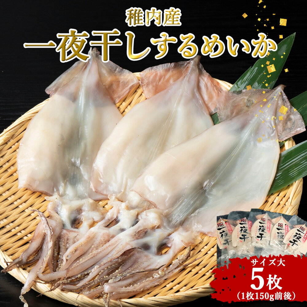 【ふるさと納税】稚内産 するめいか一夜干し 大5枚セットいか 烏賊 スルメいか するめいか 一夜干し 干物 海鮮 海産物 加工品 北海道ふるさと納税 稚内 ふるさと納税 北海道 【配送不可地域：離島・沖縄県】