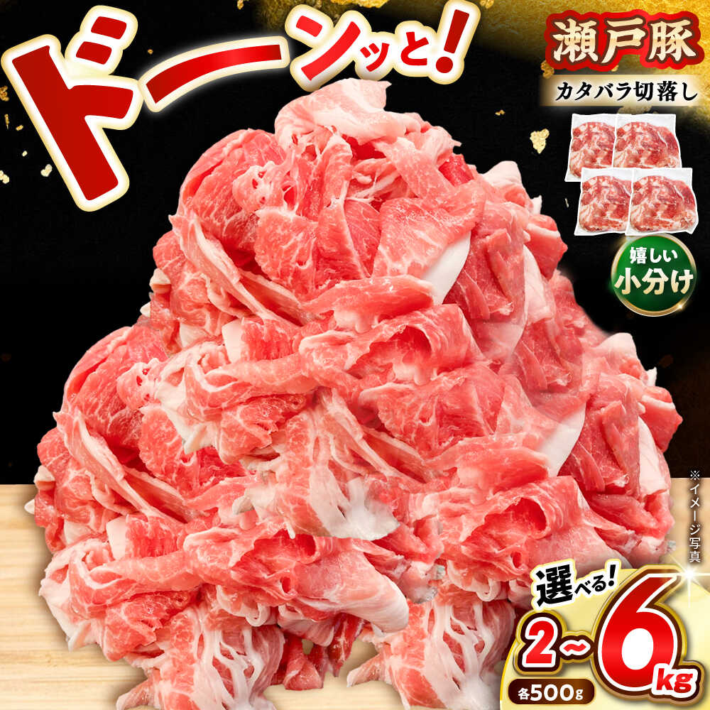 【ふるさと納税】【選べる容量・発送月】瀬戸豚 肩バラ 切り落とし / 豚肉 小分け 真空パック 切り落とし / 瀬戸市 / 関屋精肉店[BBBQ154]