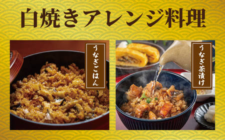国産うなぎ 白焼き 3枚 約120g×3 定期便6回 うなぎ うなぎ うなぎ うなぎ うなぎ 石毛川魚店