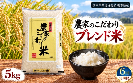 【定期便6回】ブレンド米 5kg | 米 こめ 白米 精米 お米  栃木米 ブランド米 【栃木県共通返礼品 栃木県産】 栃木県 下野市 しもつけ市