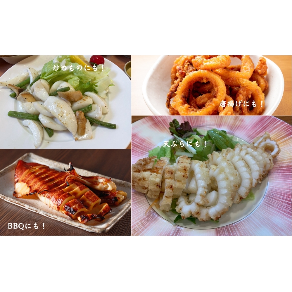 【訳アリ】アオリイカむき身（不揃い）_イメージ3