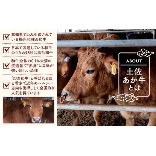【ハンバーグ】土佐あかうしハンバーグ 2kg 200gx10個