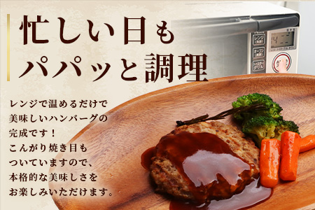 ジビエ肉入り ハンバーグ 計1.5kg（生100g×5・焼100g×5・生特大500g×1）