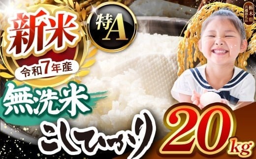 【令和7年度新米先行予約】栃木県産コシヒカリ 無洗米 20kg 【栃木県共通返礼品】 | お米 米 こめ 洗米 新米 無洗米 コシヒカリ こしひかり 美味しい お弁当 選べる ふるさと 納税 栃木県 矢板市