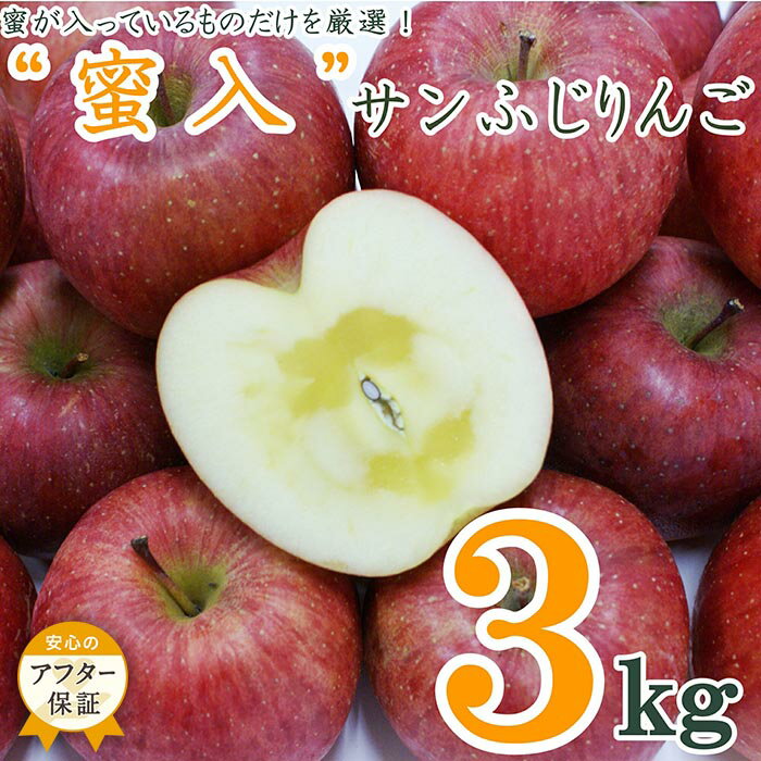 【ふるさと納税】【2025年11月～12月発送】蜜入りだけ厳選！蜜入サンふじりんご3kg_H126(R7)