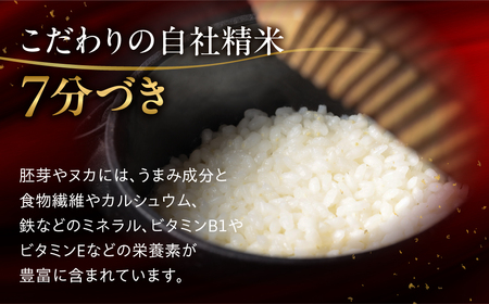 【2025年産米】3kg×1 飛騨産・龍の瞳（いのちの壱）【14-12】
