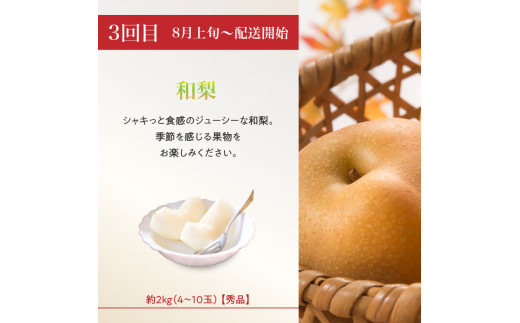 【2026度年発送】≪先行受付≫ 人気フルーツバラエティ６種便【定期便全4回】