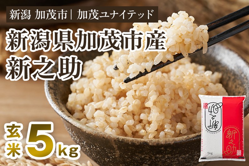 
                  【寄附額見直し】【令和7年産】新潟県産 新之助 玄米5kg（5kg×1袋）《順次出荷》 新潟 ブランド米 加茂市 加茂ユナイテッド
                
