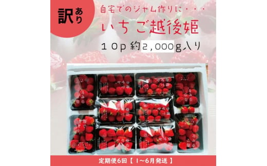 定期便 6回【2025年1～6月発送】訳あり越後姫 約200g×10定期配送 越後姫 えちごひめ 苺 いちご 訳あり 新潟