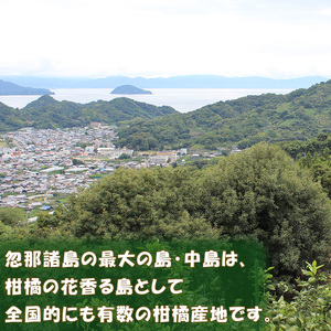 【2024年12月から発送】みはや 家庭用5kg 新品種 紅いダイヤ 愛媛中島産    数量選択可  ｜みかん 数量限定 年内配送 みかん 愛媛県産 みかん  松山市 みかん 中島 みかん  みかん 