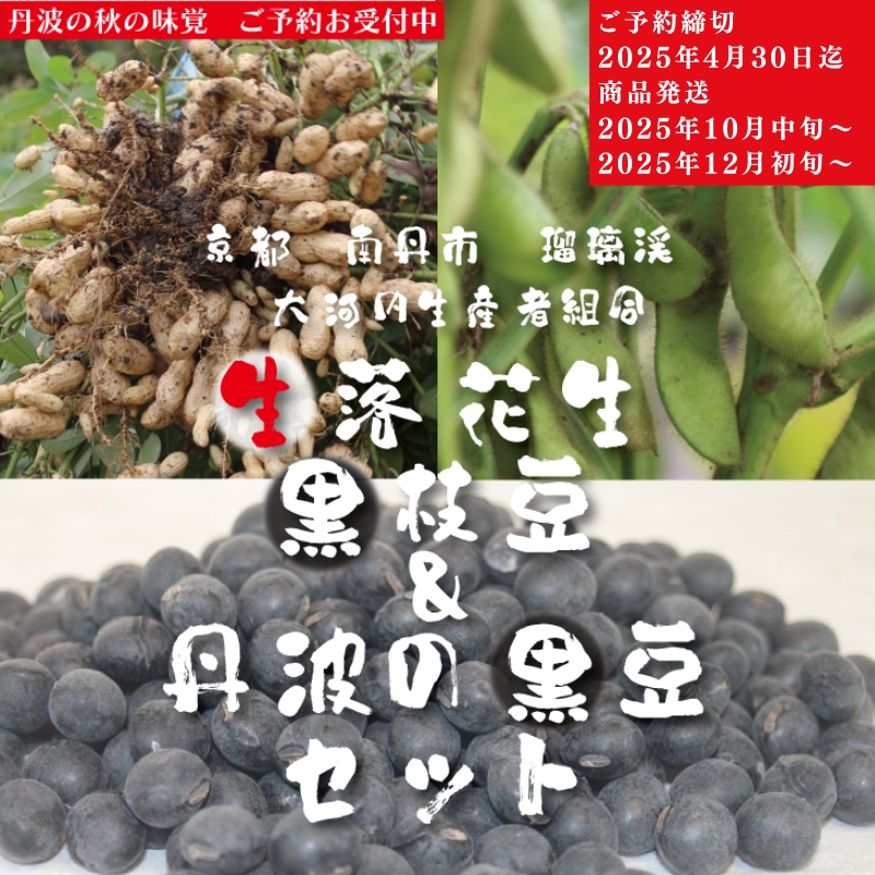 枝豆 定期便 2ヶ月 京都 2026年 先行予約 黒枝豆バラ 落花生 黒豆 るり渓 大河内生産組合発 丹波 先行 定期 お楽しみ 2回 ※北海道・沖縄・離島への発送不可 