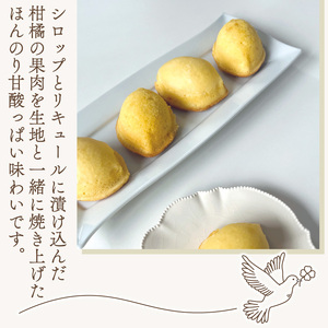 焼き菓子 シトラスガトー  10個入り オレンジケーキ レモンケーキ 【焼き菓子】