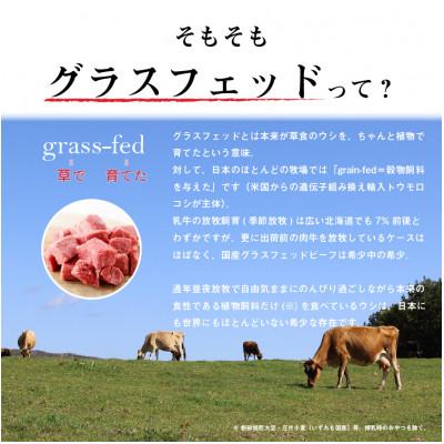 ふるさと納税 岩泉町 なかほら牧場 グラスフェッドビーフ粗挽き(500g) |  | 01