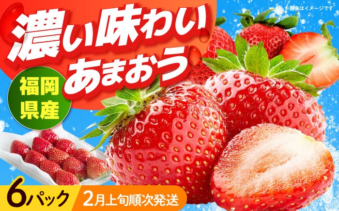 【2026年2月上旬より発送】先行予約！福岡産【春】 あまおう 6パック 《築上町》【南国フルーツ株式会社】果物 苺 いちご[ABET012]