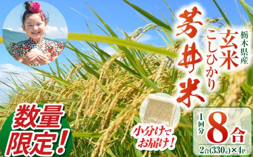 【数量限定】【令和7年度】那珂川町産芳井米 玄米 330g（2合分）×4 | こしひかり 米 ごはん  ふっくら もちもち  ふるさと納税 那珂川町 栃木県