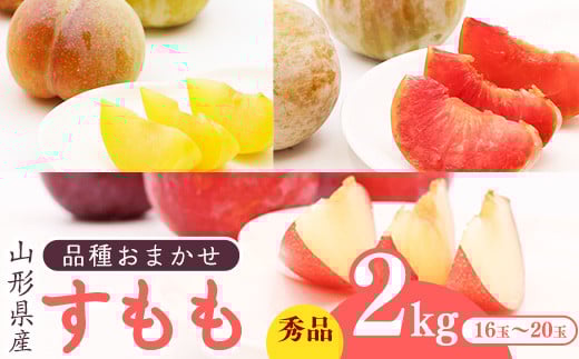 
            山形産 すもも 2kg (16玉～20玉) 【2025年8月中旬頃～9月下旬頃発送予定】　011-B-JA038
          