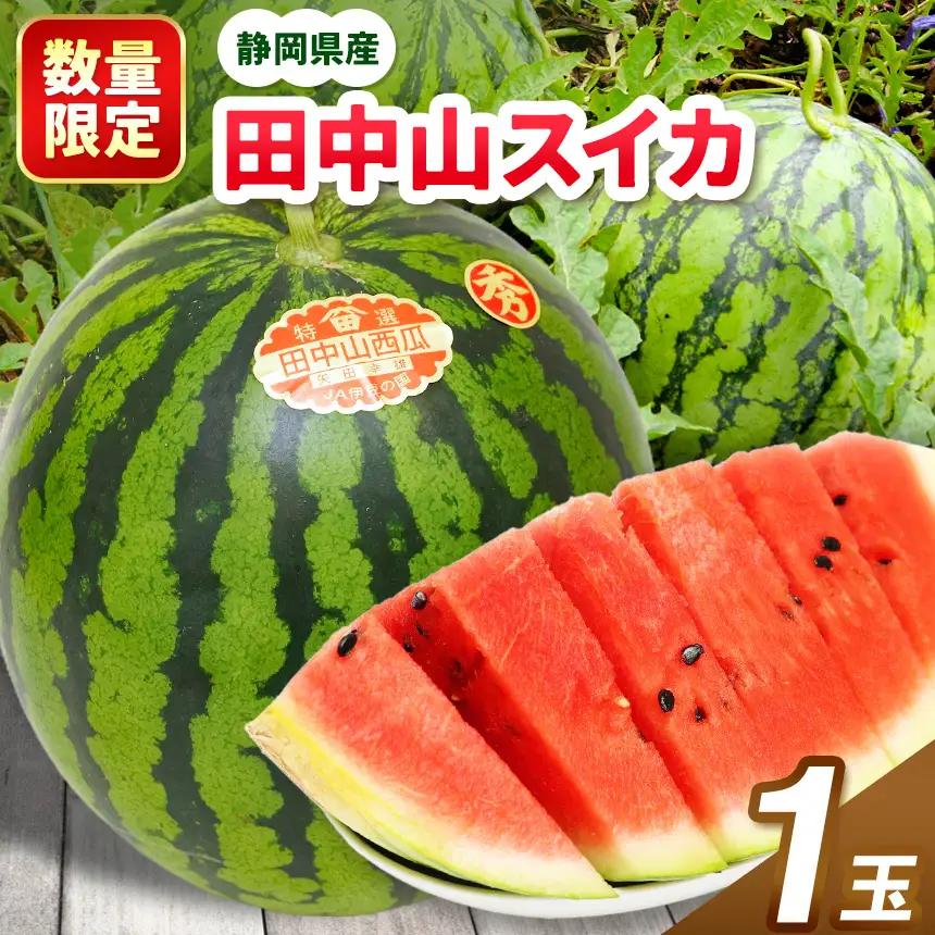 【先行予約】〈数量限定〉田中山スイカ（1玉）