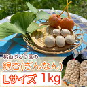 【ふるさと納税】桃山ぶどう園の『ぎんなん(殻付き)』Lサイズ　約1kg　※北海道・沖縄・離島への配送不可　※2024年11月上旬頃より順次発送予定