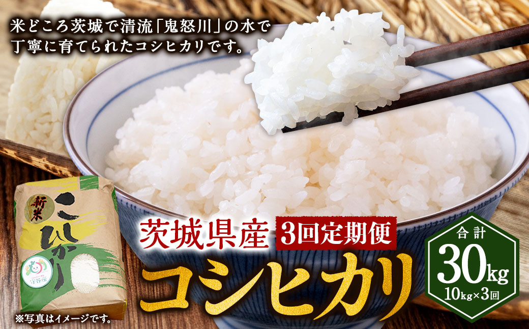 
            【3ヶ月定期便】コシヒカリ 10kg 計30kg 米 お米 ご飯 ごはん こしひかり 白米 精米 茨城県 守谷市
          