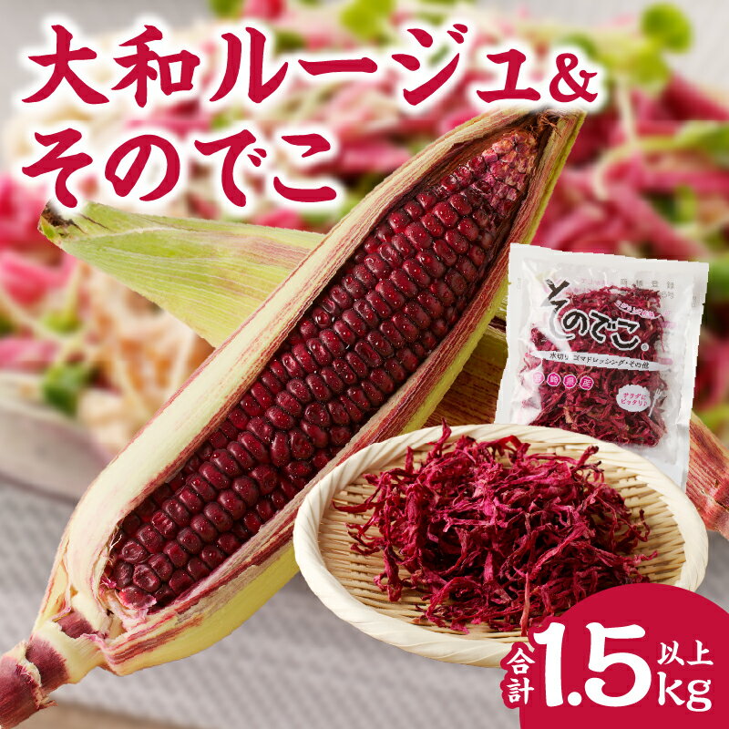 【ふるさと納税】 先行予約 期間限定 大和ルージュ ＆ そのでこ セット 合計1.5kg以上 とうもろこし コーン 赤いスイートコーン 切干大根 サラダ 千切大根 旬 惣菜 和食 野菜 産地直送 季節限定 おすそ分け お取り寄せ グルメ 人気 食品 国産 宮崎県 都農町 送料無料
