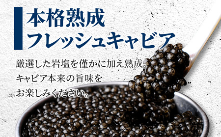 【訳あり】宮崎県産キャビア 詰め合わせ 合計100g 魚卵 キャビア